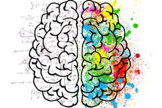 Featured Class: Introduction to Psychology