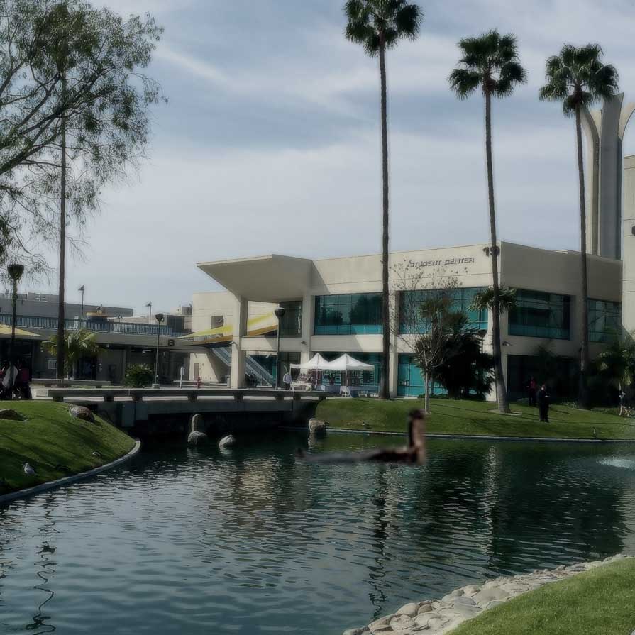 Instagram Photo Reveals Mysterious Guest at the Pond - Cypress College